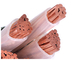 5 lõi CU PVC XLPE Dây cáp điện IEC Tiêu chuẩn ISO KEMA chấp thuận 600 / 1000V nhà cung cấp