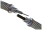 AS3607 ACSR / GZ Dây dẫn trần bao gồm dây thép mạ kẽm 6/1 / 3.0mm APPLE nhà cung cấp