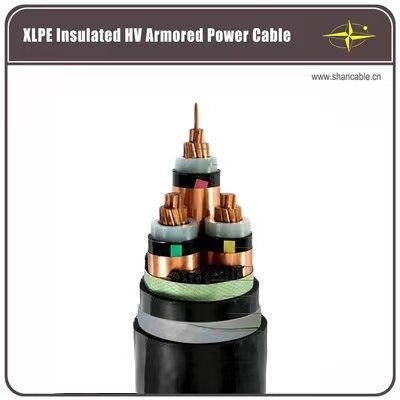 Cáp điều khiển trong nhà được xếp hạng CE Đầu nối nam / nữ cho các ứng dụng công nghiệp nhà cung cấp