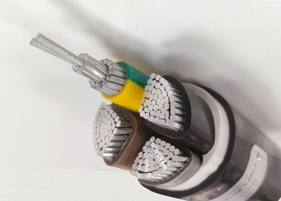 RVV 2x2.5mm2 Flexible Oxygen-Free Copper PVC Insulated Sheathed Cable for Home Appliance 300/500V nhà cung cấp