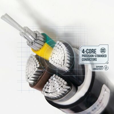 Waterproof Moisture Resistant PVC Insulated Cable 0.6/1kV 2 Core 2x4mm2 Outdoor Wet Area nhà cung cấp