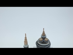 Cáp điện bọc thép PVC đồng 600V