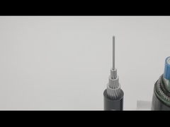 AWA SWA Cáp đồng bọc thép dài 100m có vỏ bọc PVC