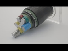 AWA SWA Cáp đồng bọc thép dài 100m có vỏ bọc PVC