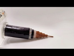 XLPE FR-PVC SWA Cáp điện bọc thép PVC vỏ đơn lõi