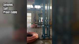 Cáp Shenghua 26 35kV Chống Muối Địa Chấn